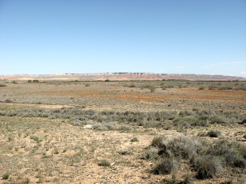 El Planerón